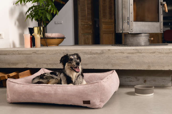 Designed by Lotte Hundeliegebett "Ribbed"